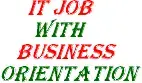 IT Business expert 